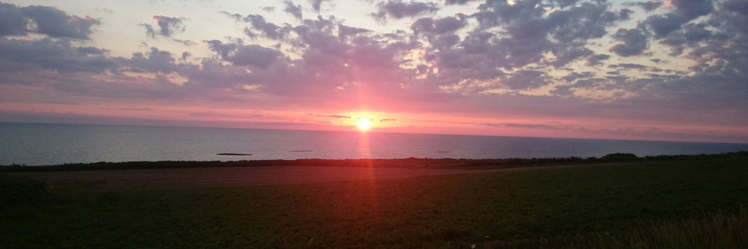 taM777777's profile banner image