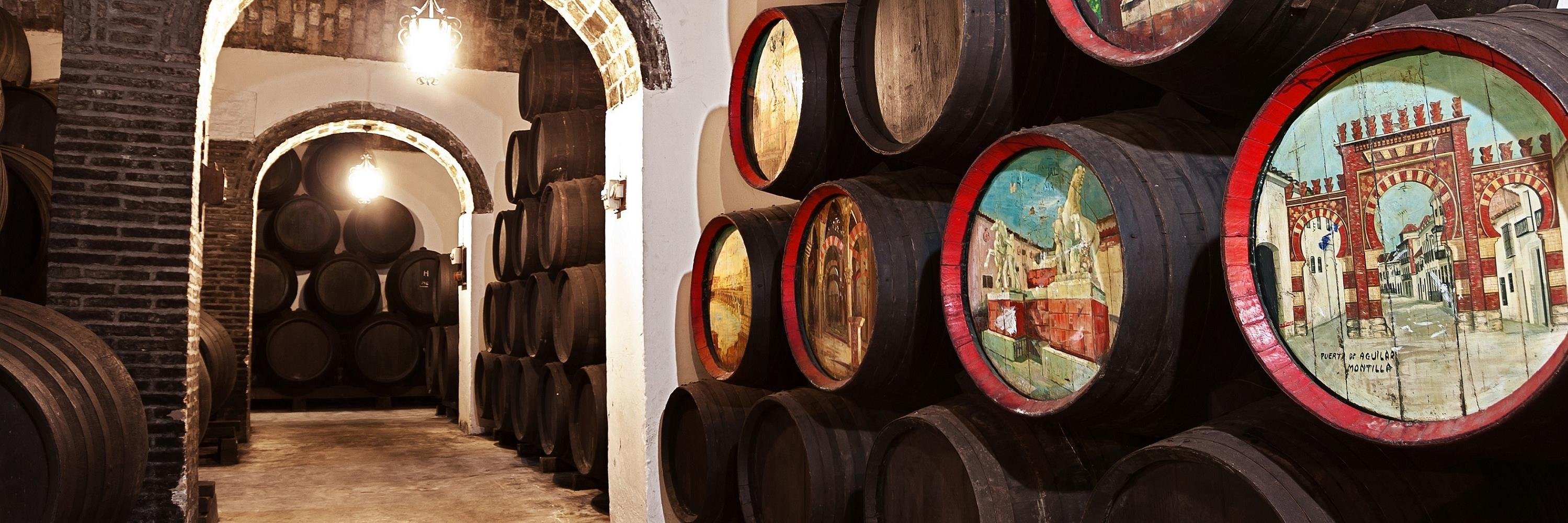 Bodegas Cruz Conde banner
