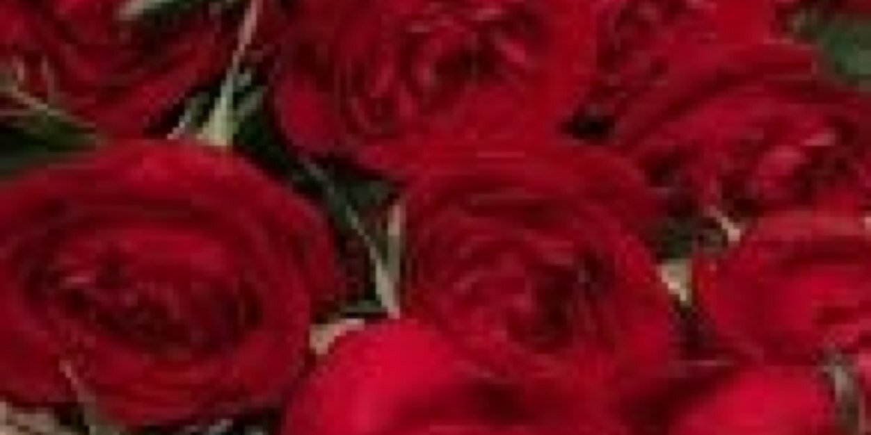 om_abdulraman's profile banner image