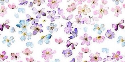 ashleejadek's profile banner image