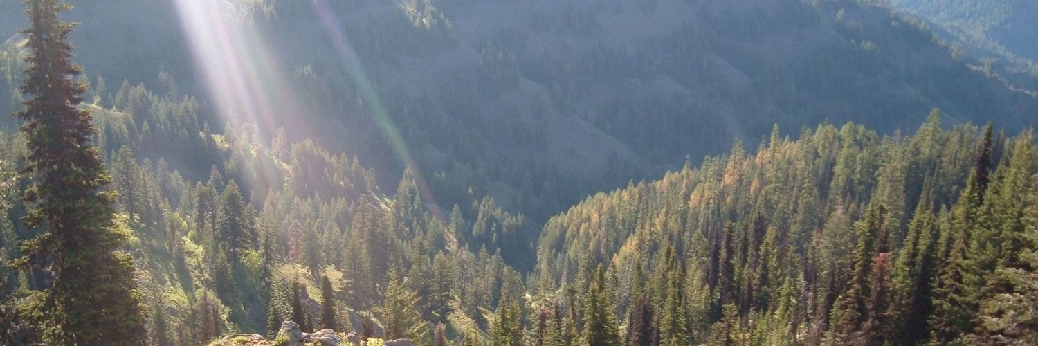 harrijerome's profile banner image