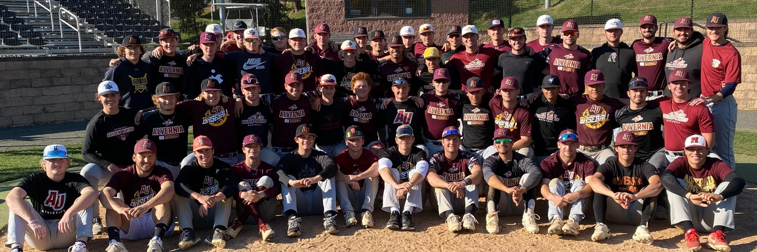 Alvernia Baseball banner