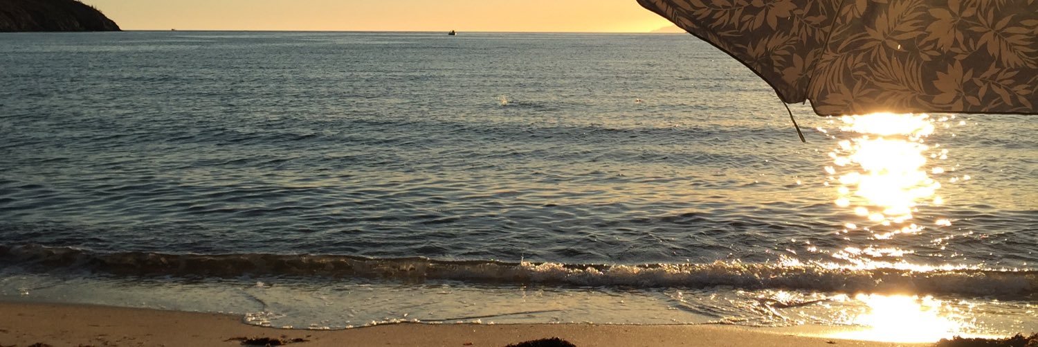 alonsogg's profile banner image