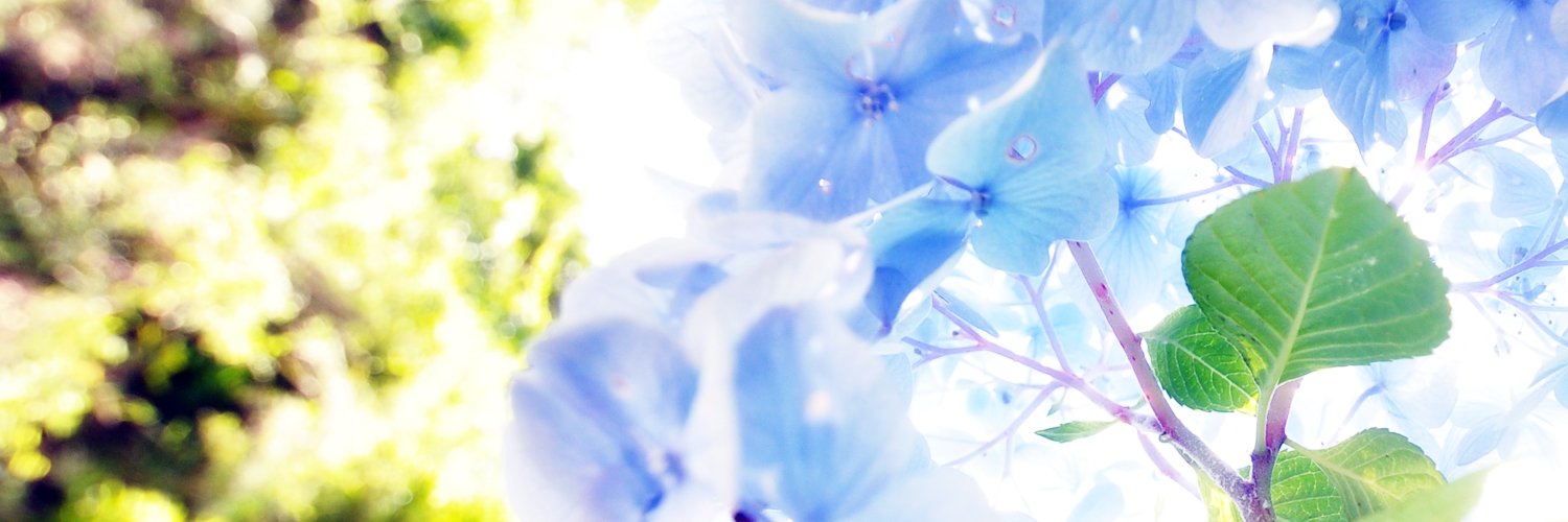 98_perelin banner