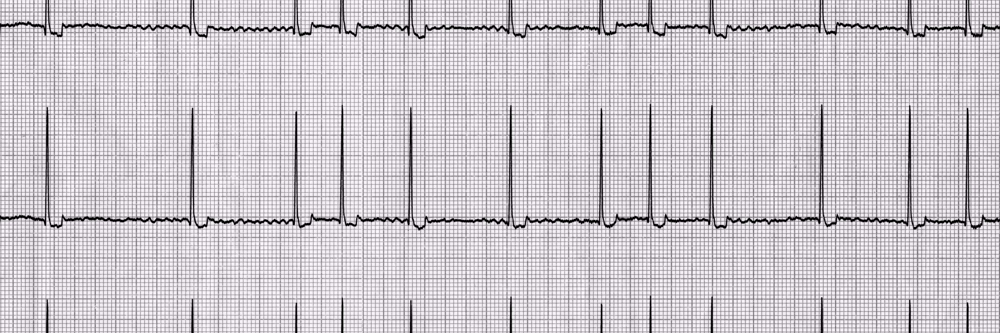 #VetCardioBot banner