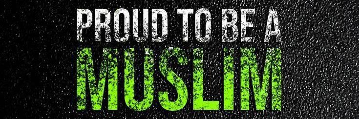 Scørp 🦂🇲🇱🦅 banner