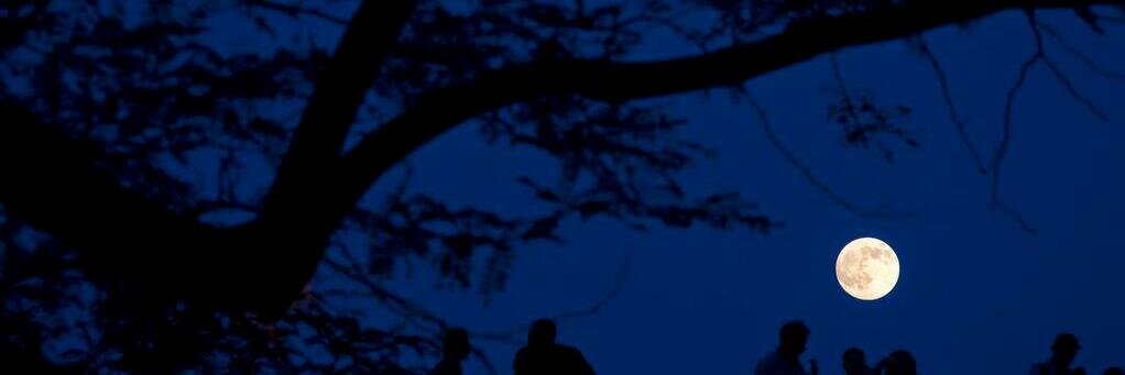 Waalobo's profile banner image