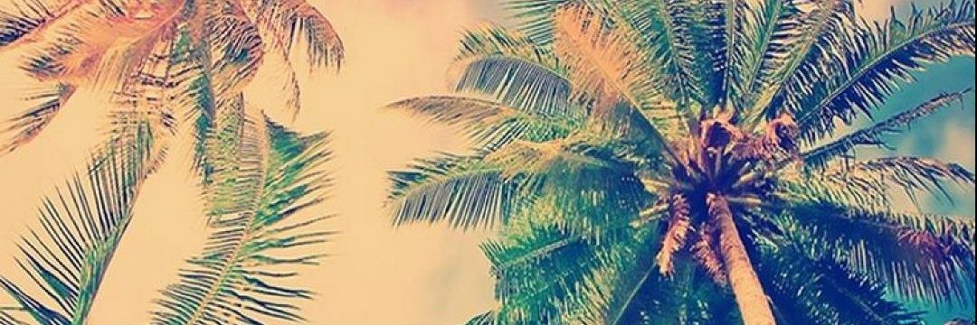 raymundarray's profile banner image