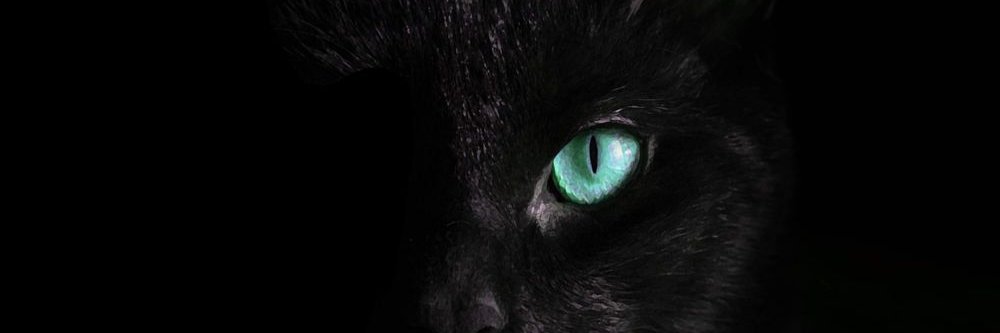 Natan banner
