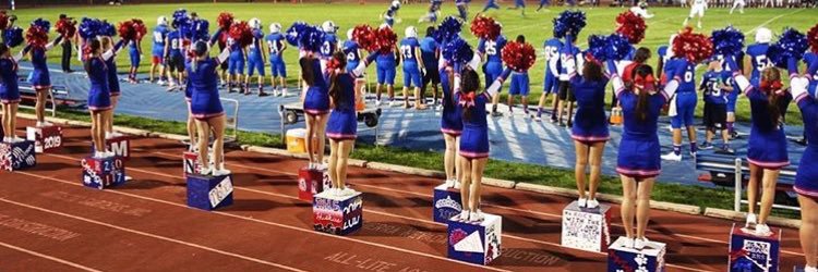 Reno High Cheer banner