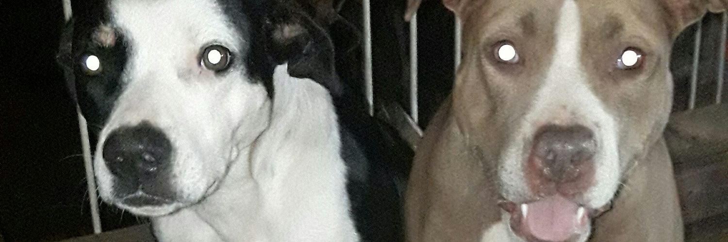LeooBw's profile banner image