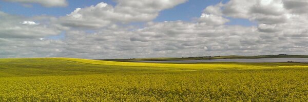 HorizonFert Profile Banner