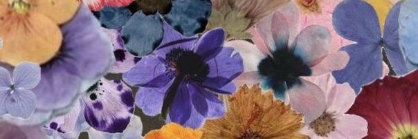 _ryzhaja_'s profile banner image