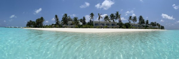 kimfoat Profile Banner