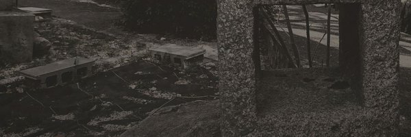 dp_orga Profile Banner