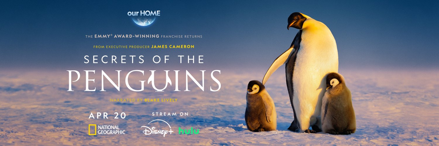 National Geographic Animals's banner