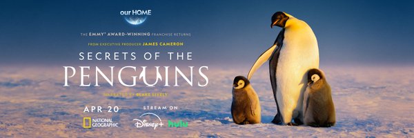 NatGeoAnimals Profile Banner
