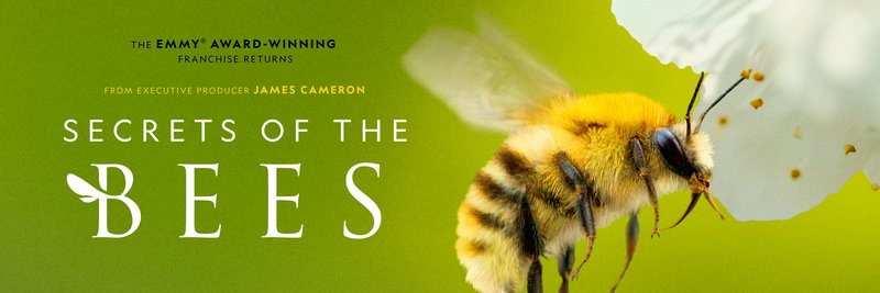 National Geographic Animals banner