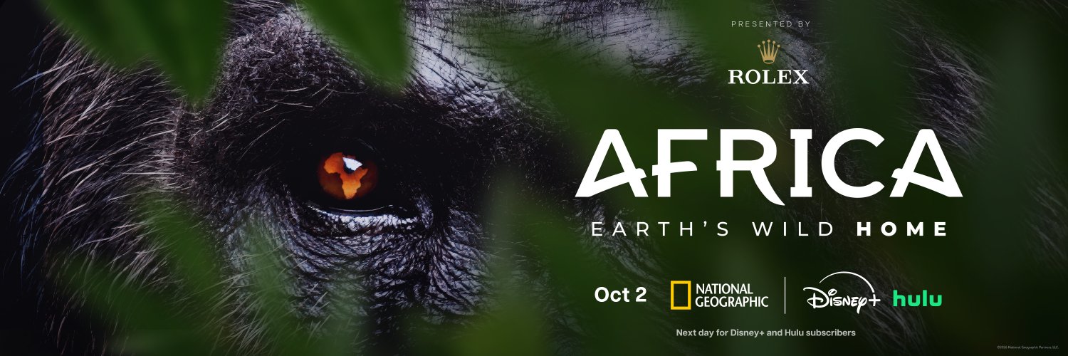 NatGeoAnimals's profile banner image