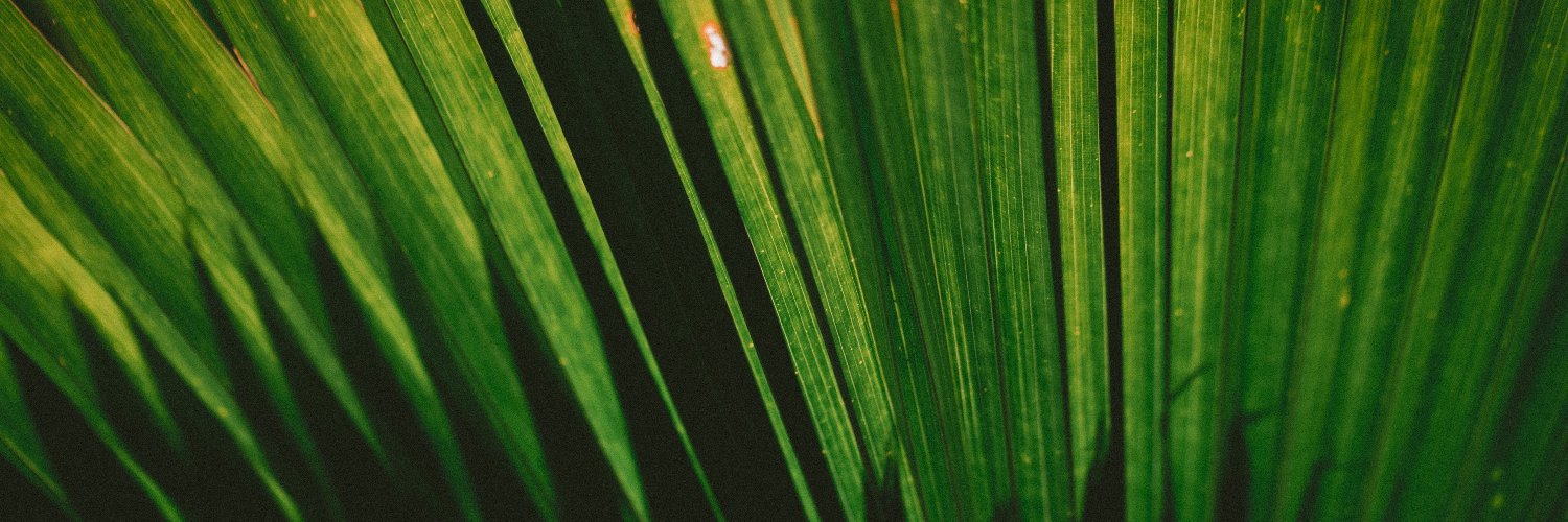 AndimaVerde's profile banner image