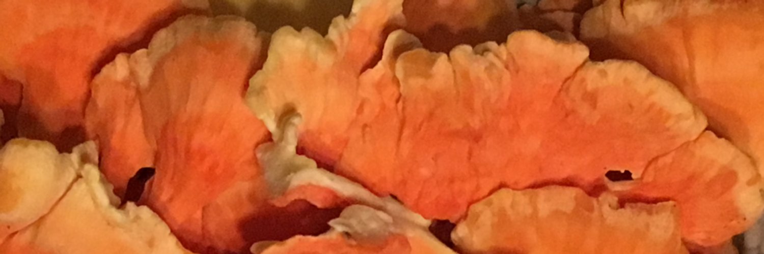 mariatweeter's profile banner image