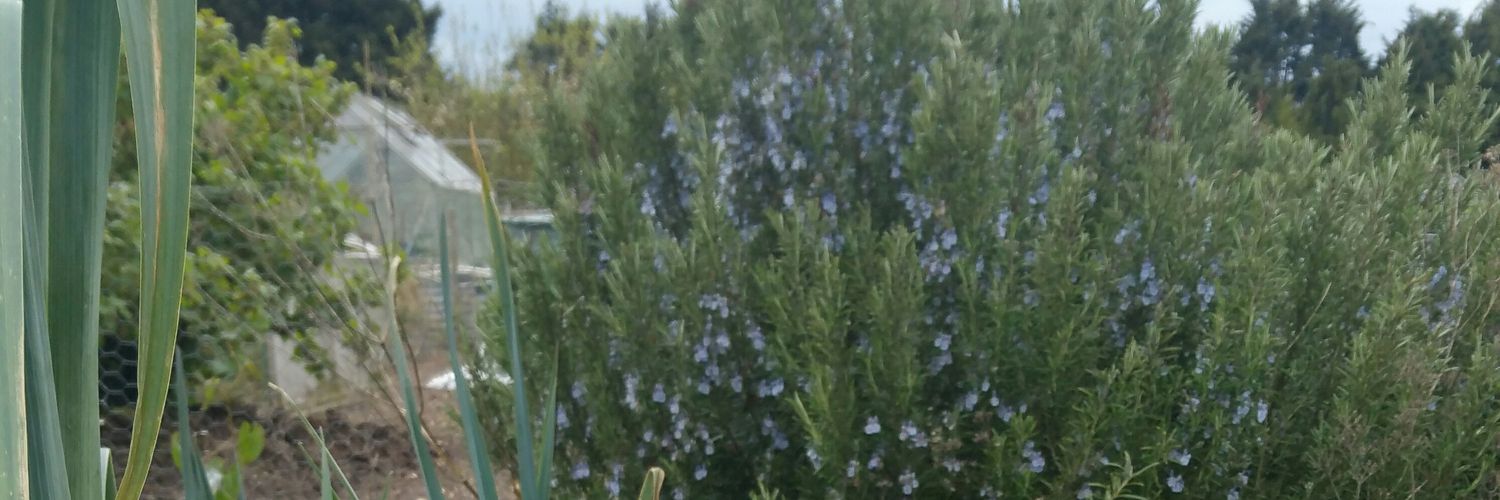Ericka Golding banner