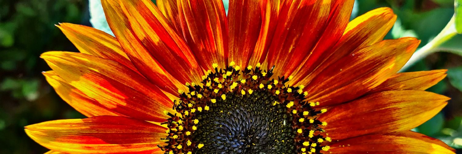 busraray's profile banner image
