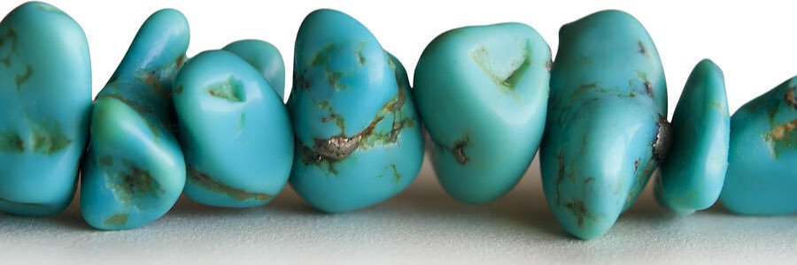 Elizabeth Bronson banner