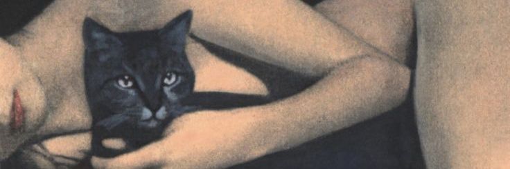 iarasomigli's profile banner image