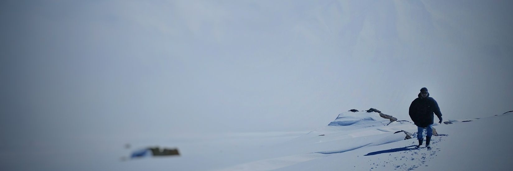 jainmickey93's profile banner image