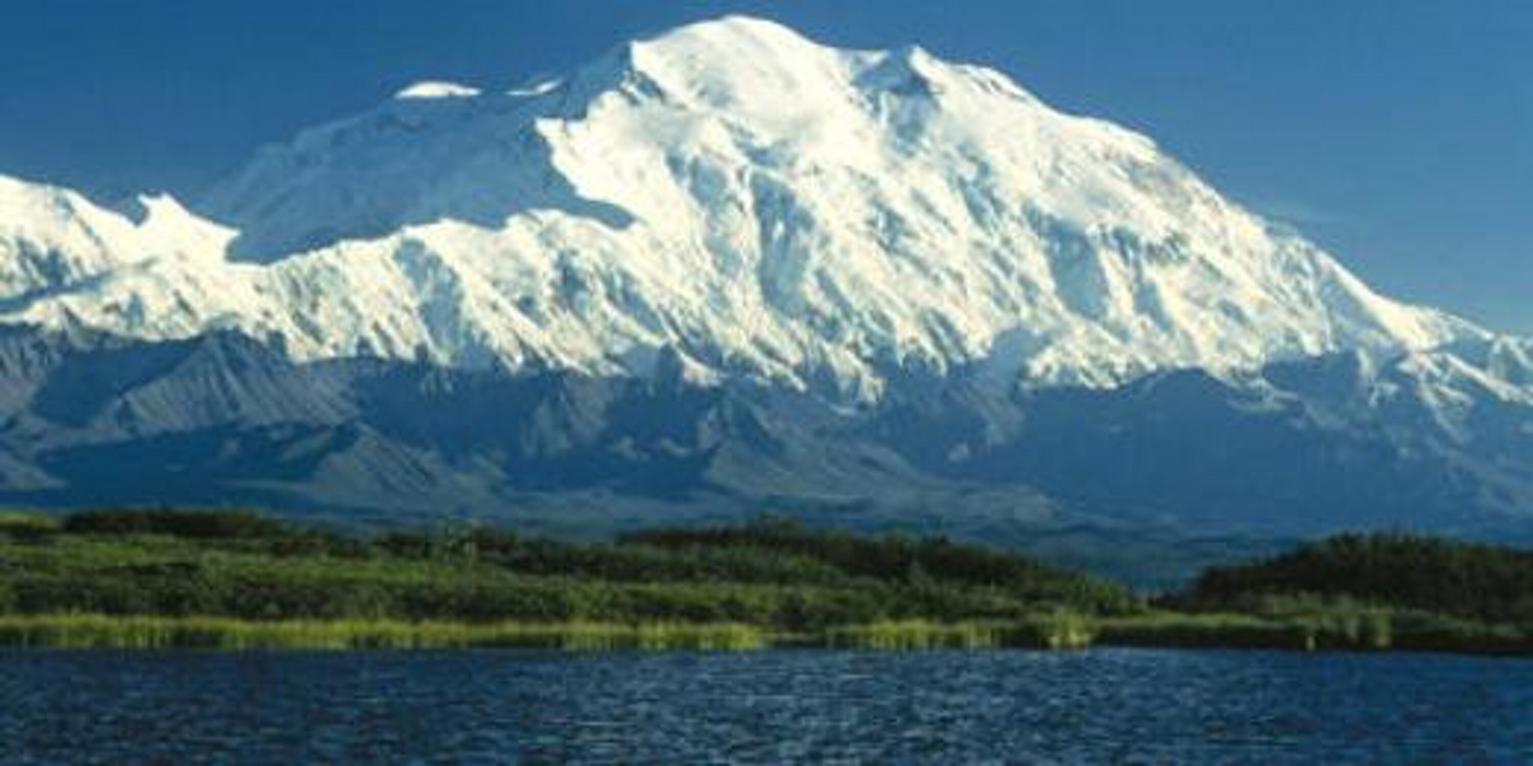 MormonMonstaMMA's profile banner image