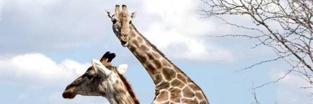 James 👨‍🦽 banner