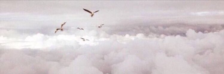 aiaii97's profile banner image