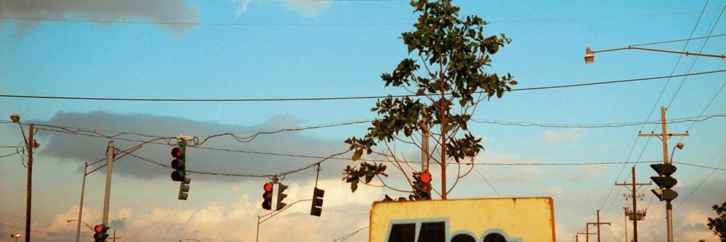 Geoffrey Treece banner