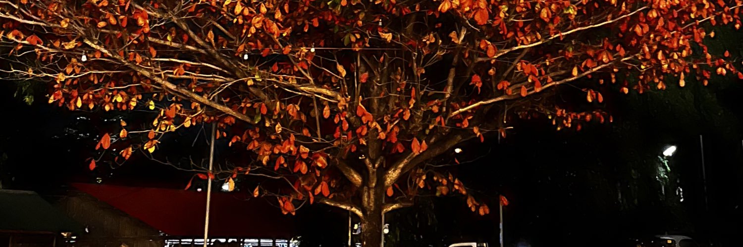 rabenyaa's profile banner image