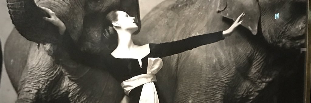 jrashelle's profile banner image
