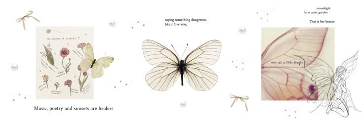 carvalhokend's profile banner image