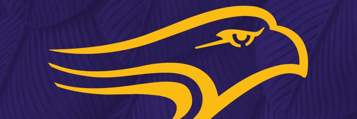 Coach Robert Mori banner