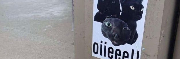 女孩是武器* ♨️ banner