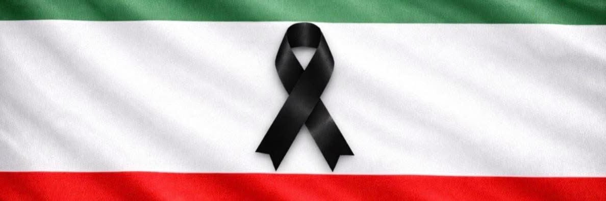 Dr. Vida Abedi, PhD banner