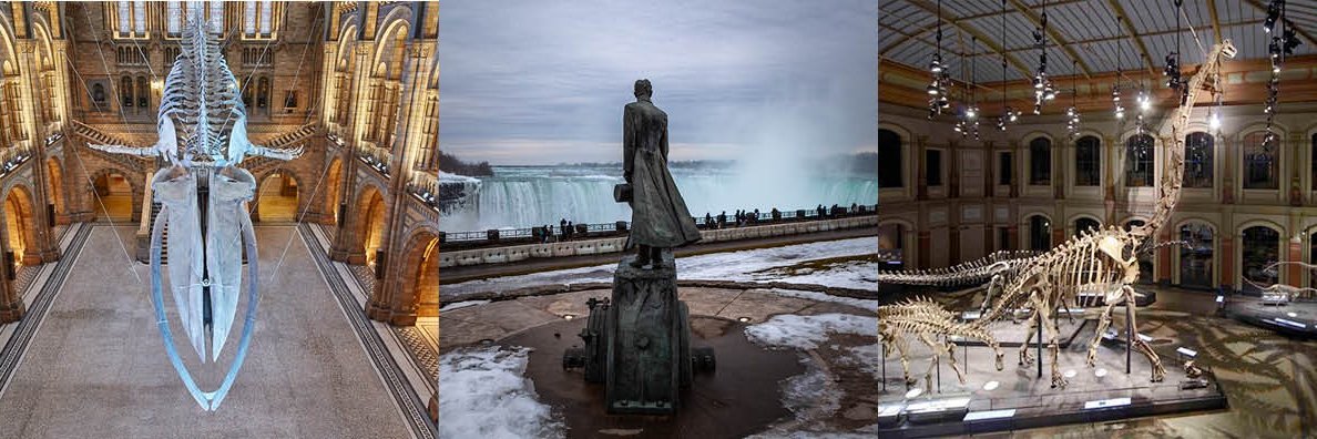 Research Casting International banner