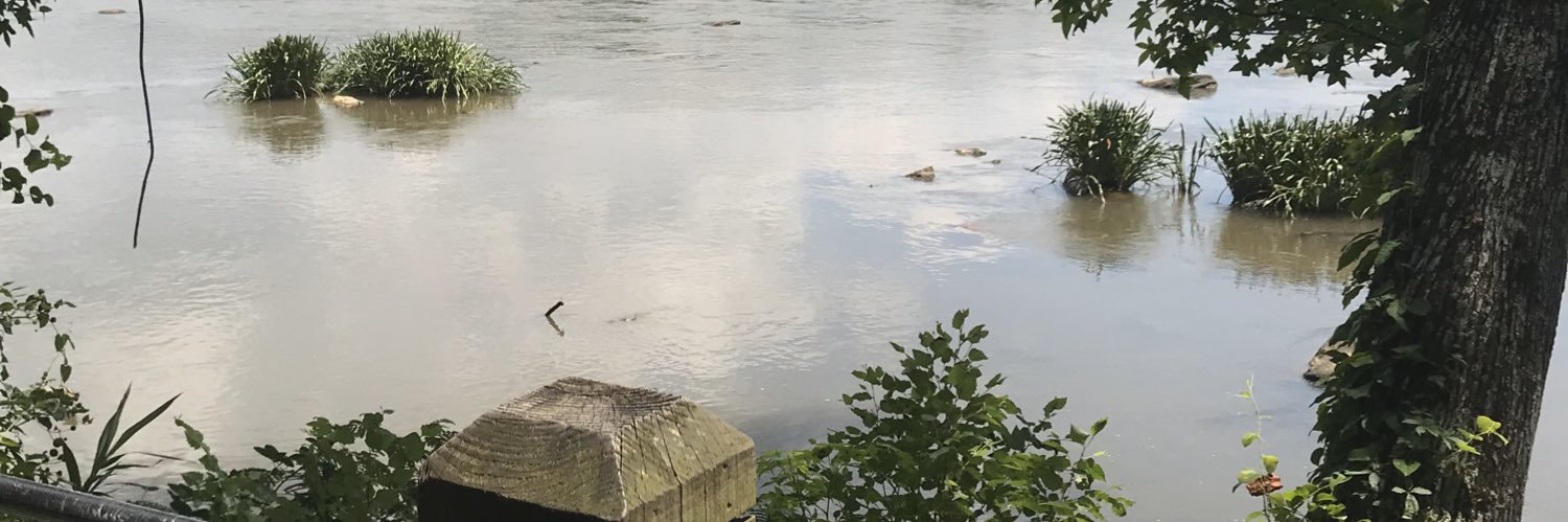 Iolanda aka ioli banner