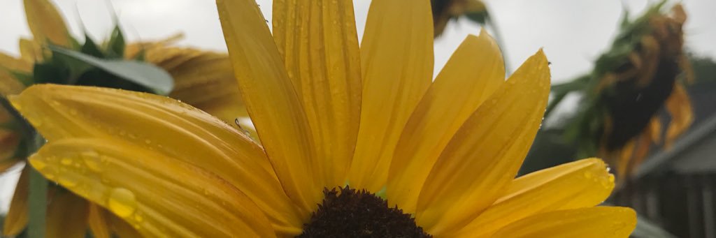 kaylamchale3's profile banner image