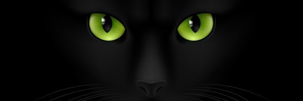 cmbilgin's profile banner image