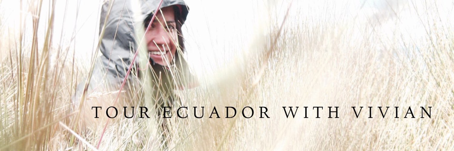 Ecuador tour guide banner