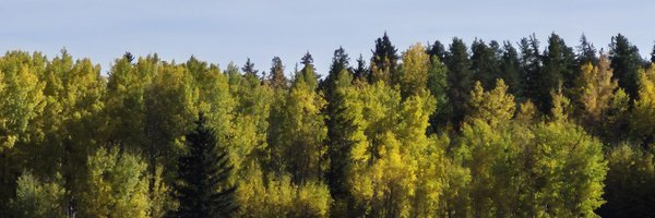 JonMerleAbner Profile Banner