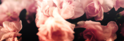luhansdeer's profile banner image