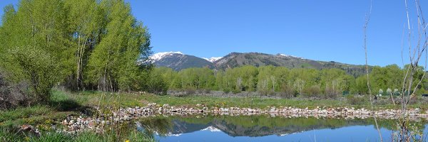 AspenSocrates Profile Banner