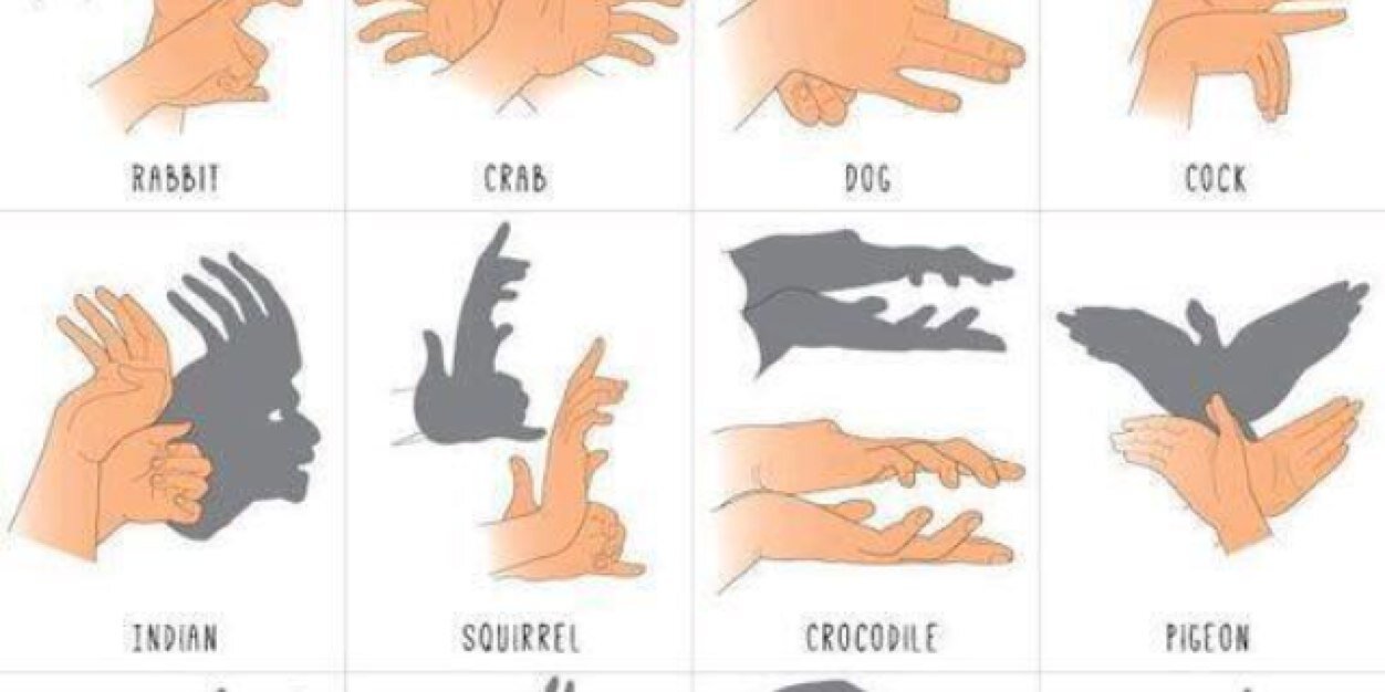 Erin Bloomfield banner