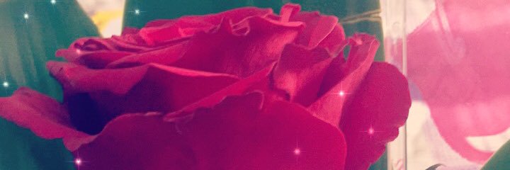 mshaer111's profile banner image